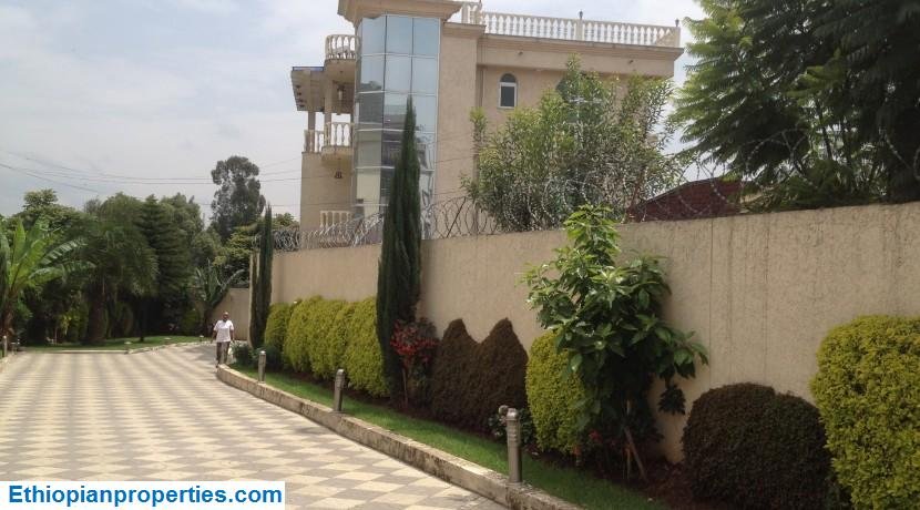 Learn About Amazing Houses For Rent In Old Airport, Addis Ababa With The Help Of The Ethiopian Properties Team