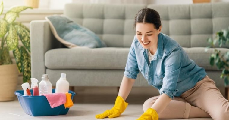 Professional Cleaning Services Orlando FL