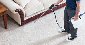 Expert Carpet Stain Removal Service in Fulham: Restoring Your Carpets to Perfection