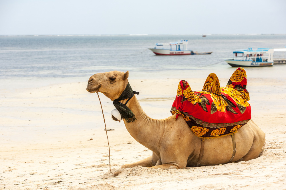 Agence de voyages francophone en Inde du Nord