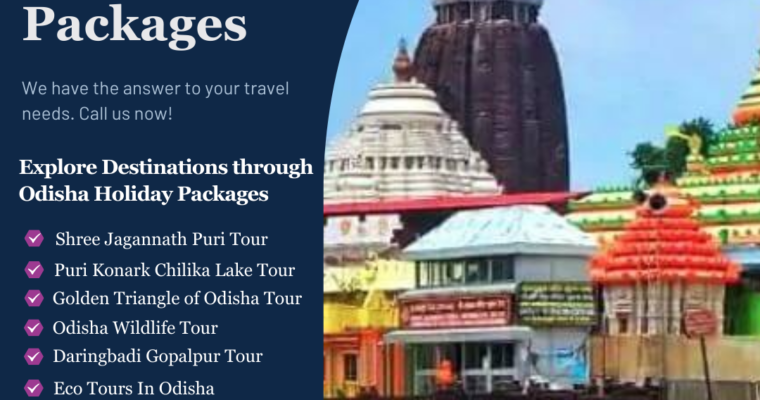 Experience the Vibrancy of Odisha Festival Tour Packages